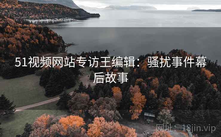 51视频网站专访王编辑：骚扰事件幕后故事