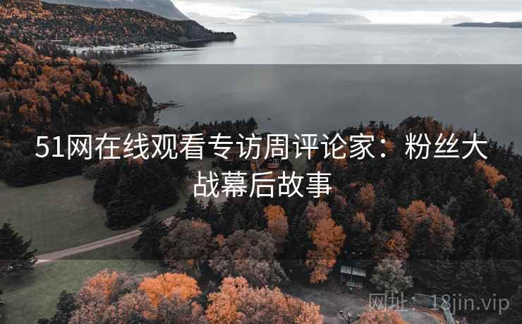 51网在线观看专访周评论家：粉丝大战幕后故事