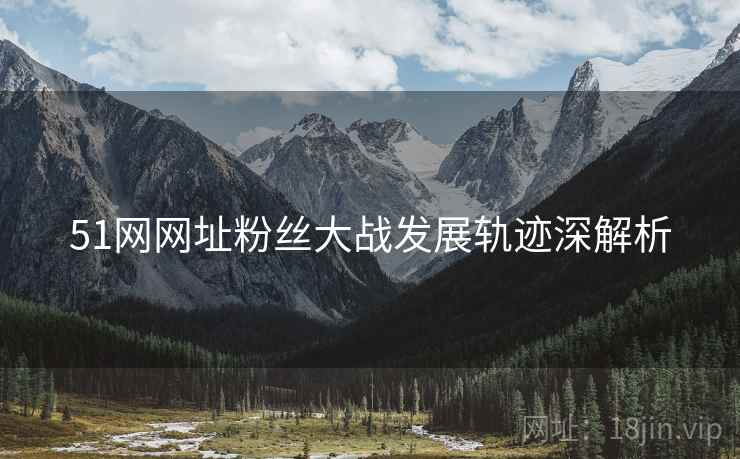 51网网址粉丝大战发展轨迹深解析