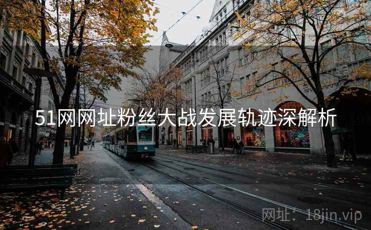51网网址粉丝大战发展轨迹深解析