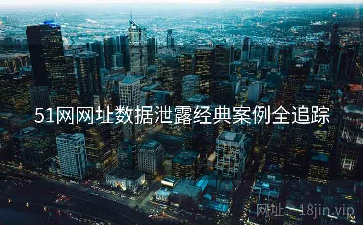 51网网址数据泄露经典案例全追踪