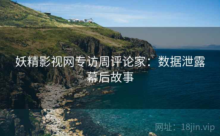 妖精影视网专访周评论家：数据泄露幕后故事