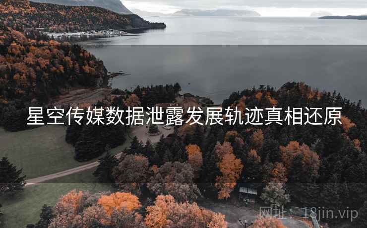 星空传媒数据泄露发展轨迹真相还原