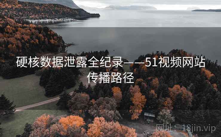 硬核数据泄露全纪录——51视频网站传播路径