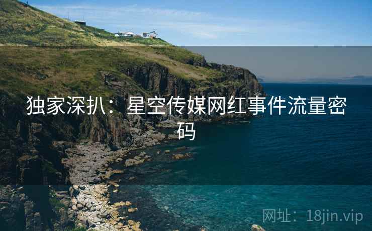 独家深扒：星空传媒网红事件流量密码
