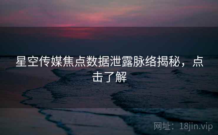 星空传媒焦点数据泄露脉络揭秘，点击了解